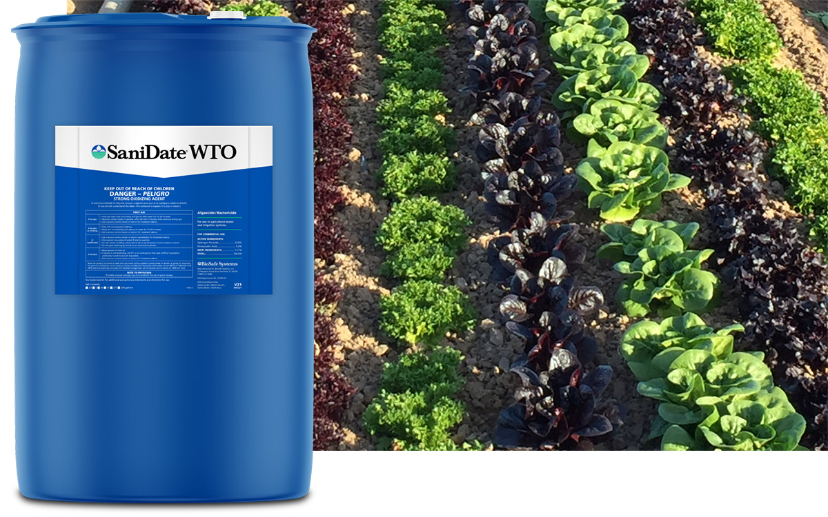 SaniDate® WTO product shot
