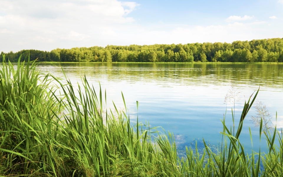 Bio Clean Lake GreenClean® Liquid 5.0 – BioSafe Systems