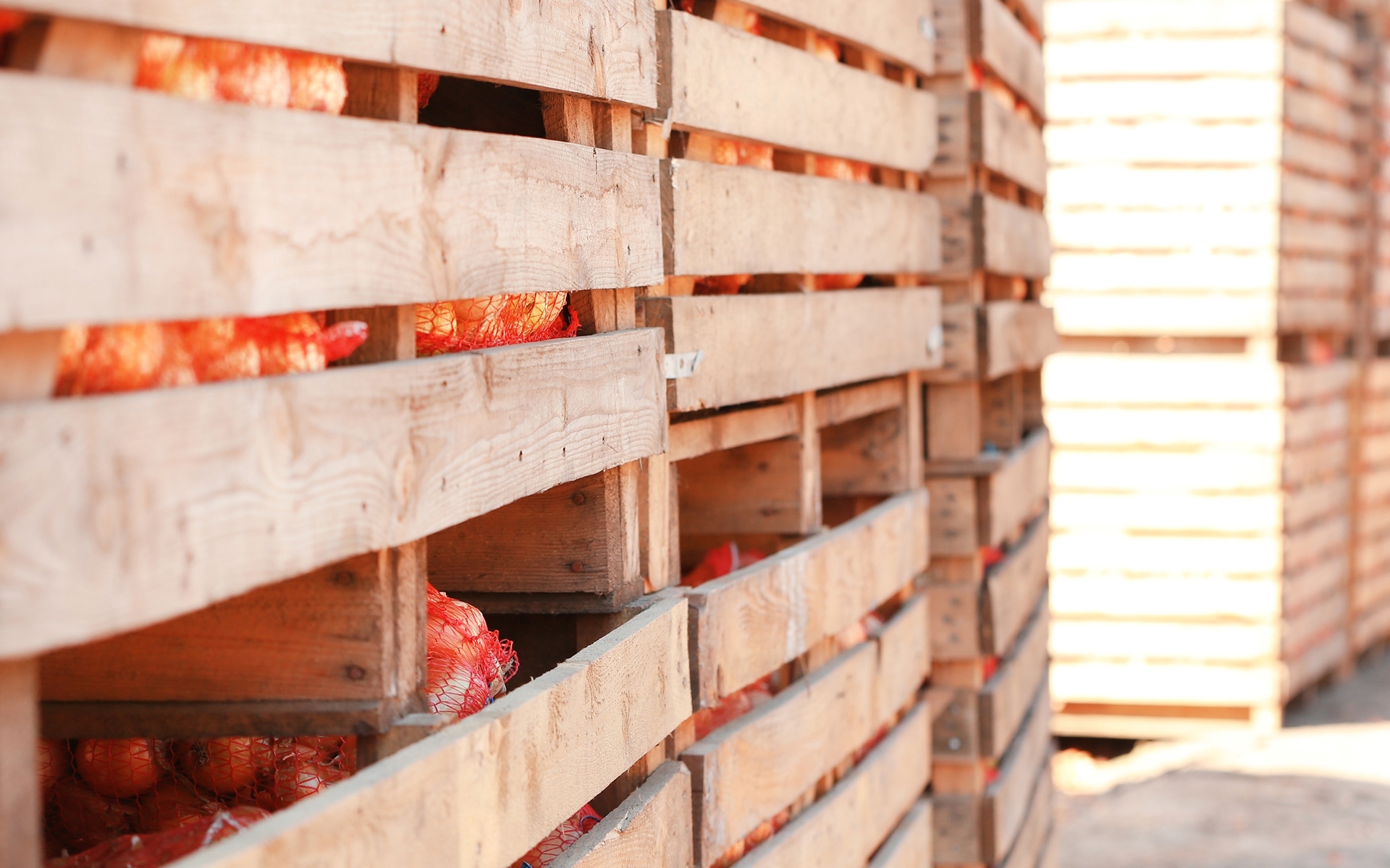 Onions being stored in wooden crates
