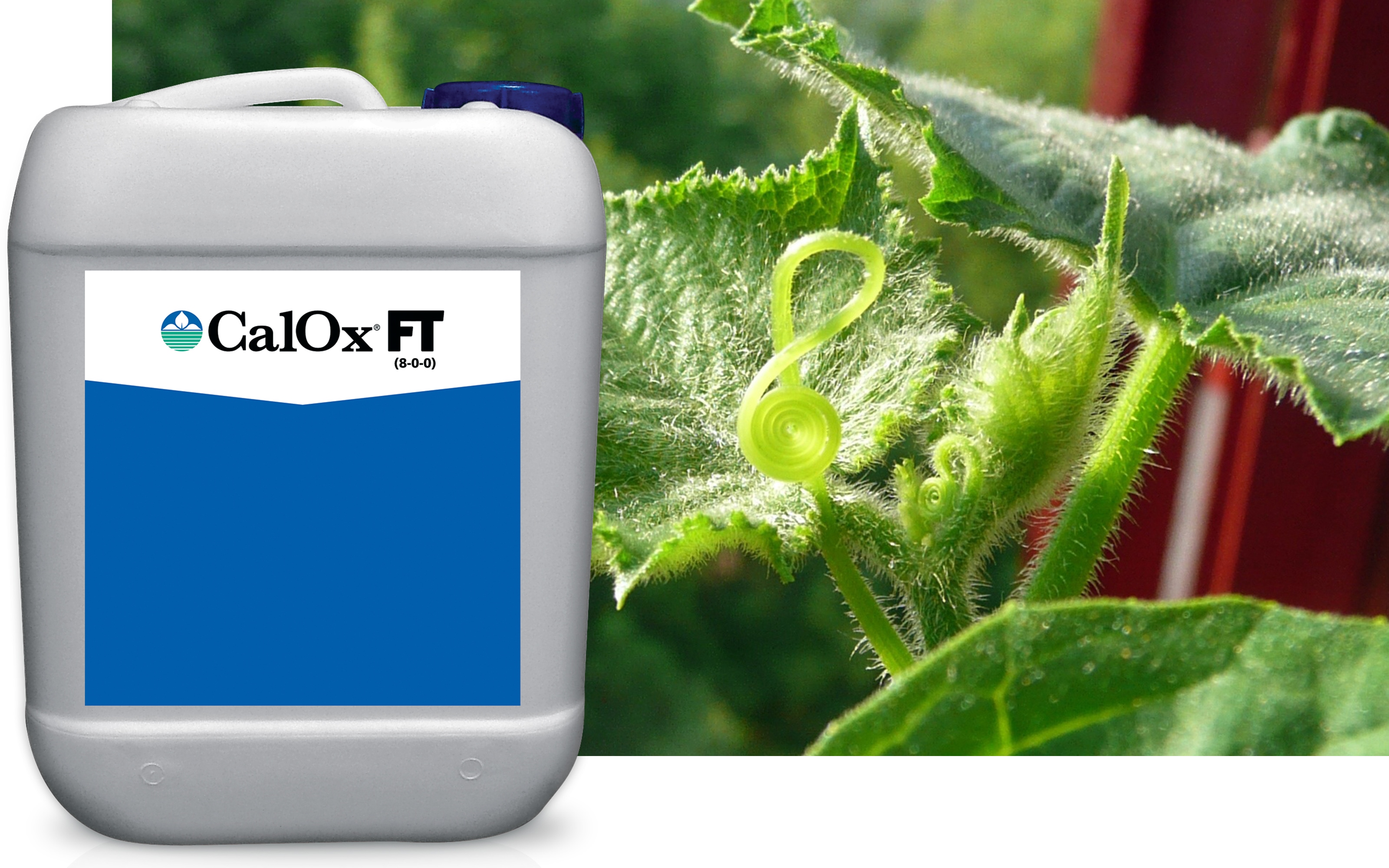 Calox® FT product shot with a closeup of a cucumber plant behind it