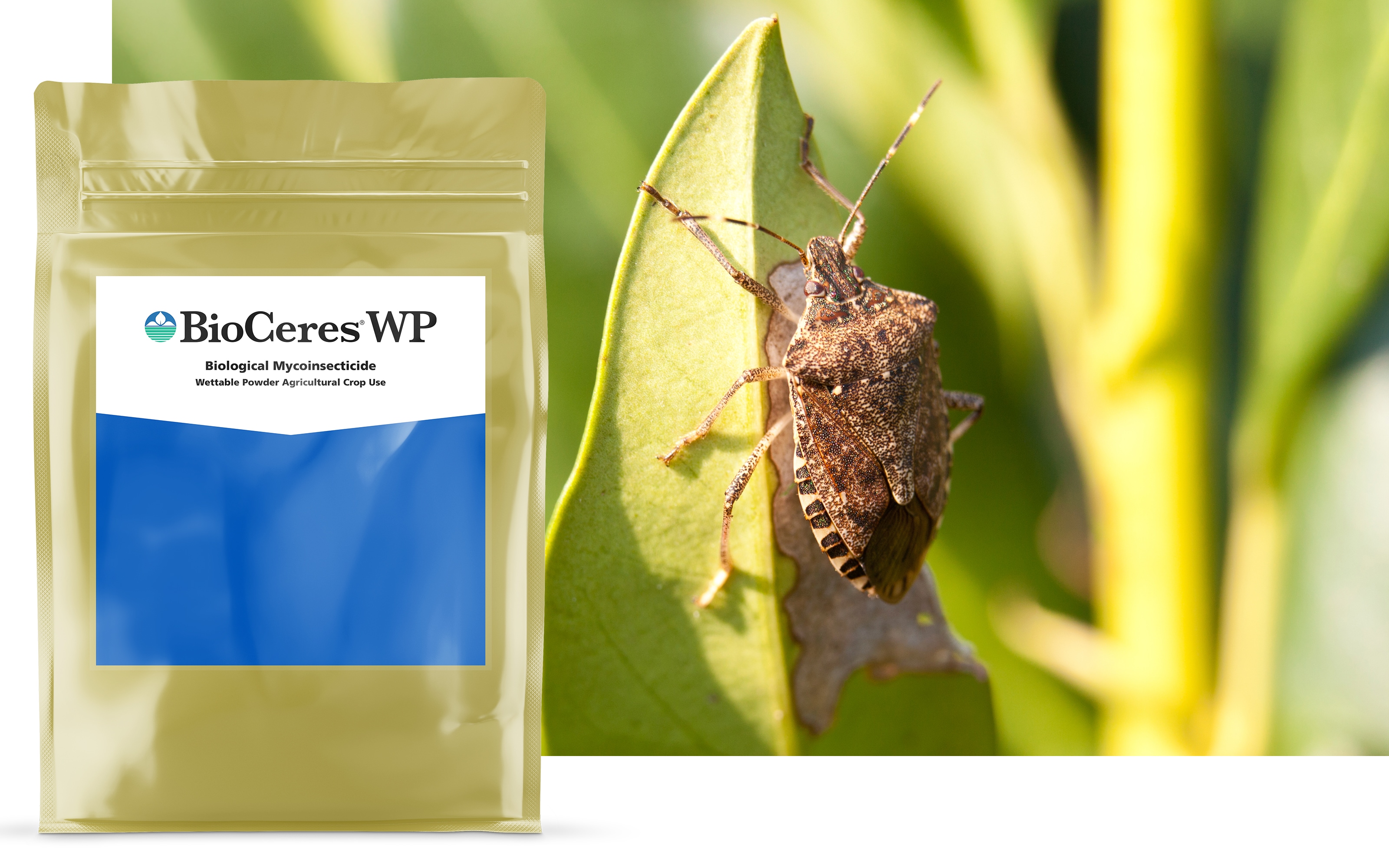 BioCeres® WP product shot