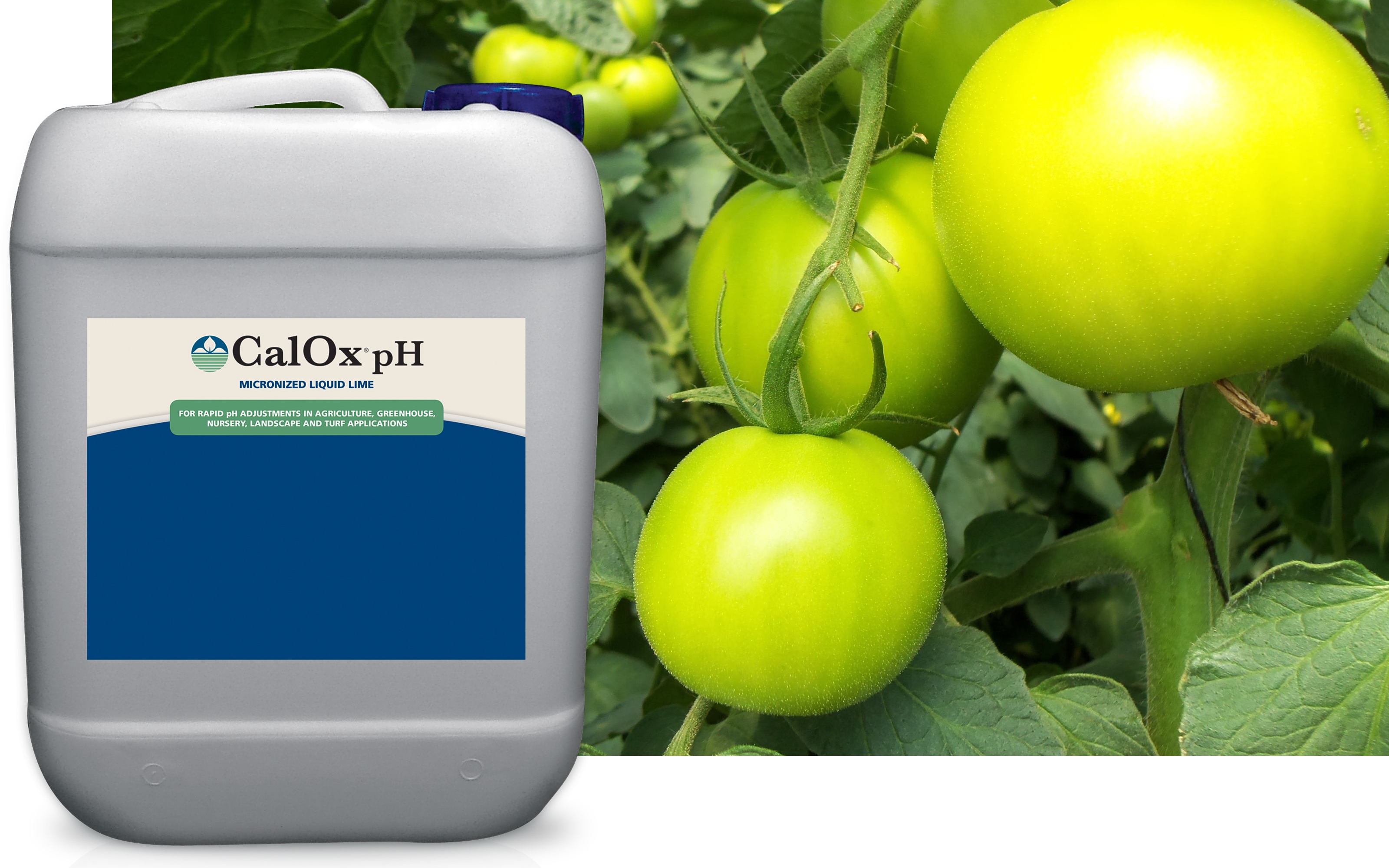 CalOx® pH product shot
