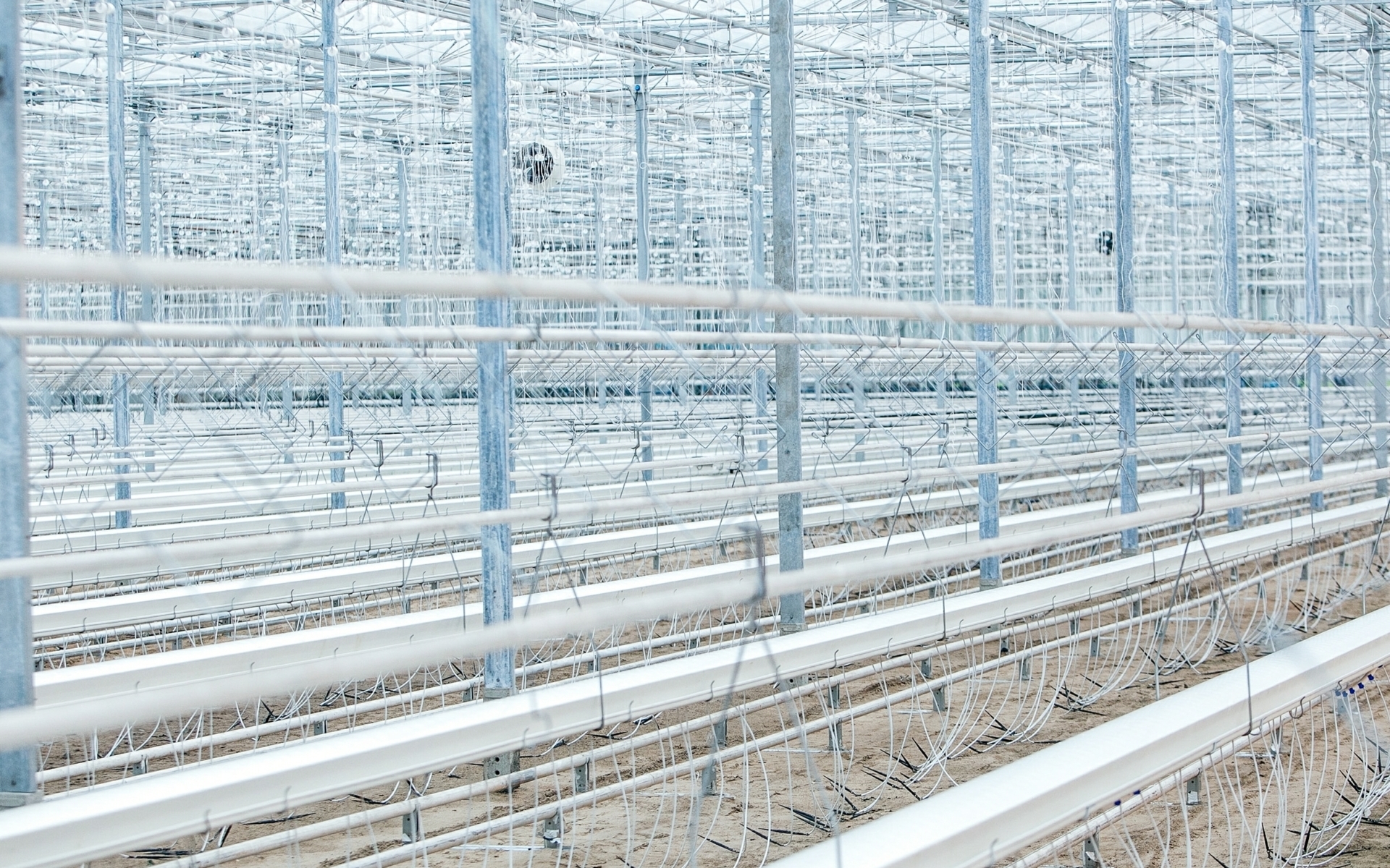 A large glass greenhouse completely clean and emptied