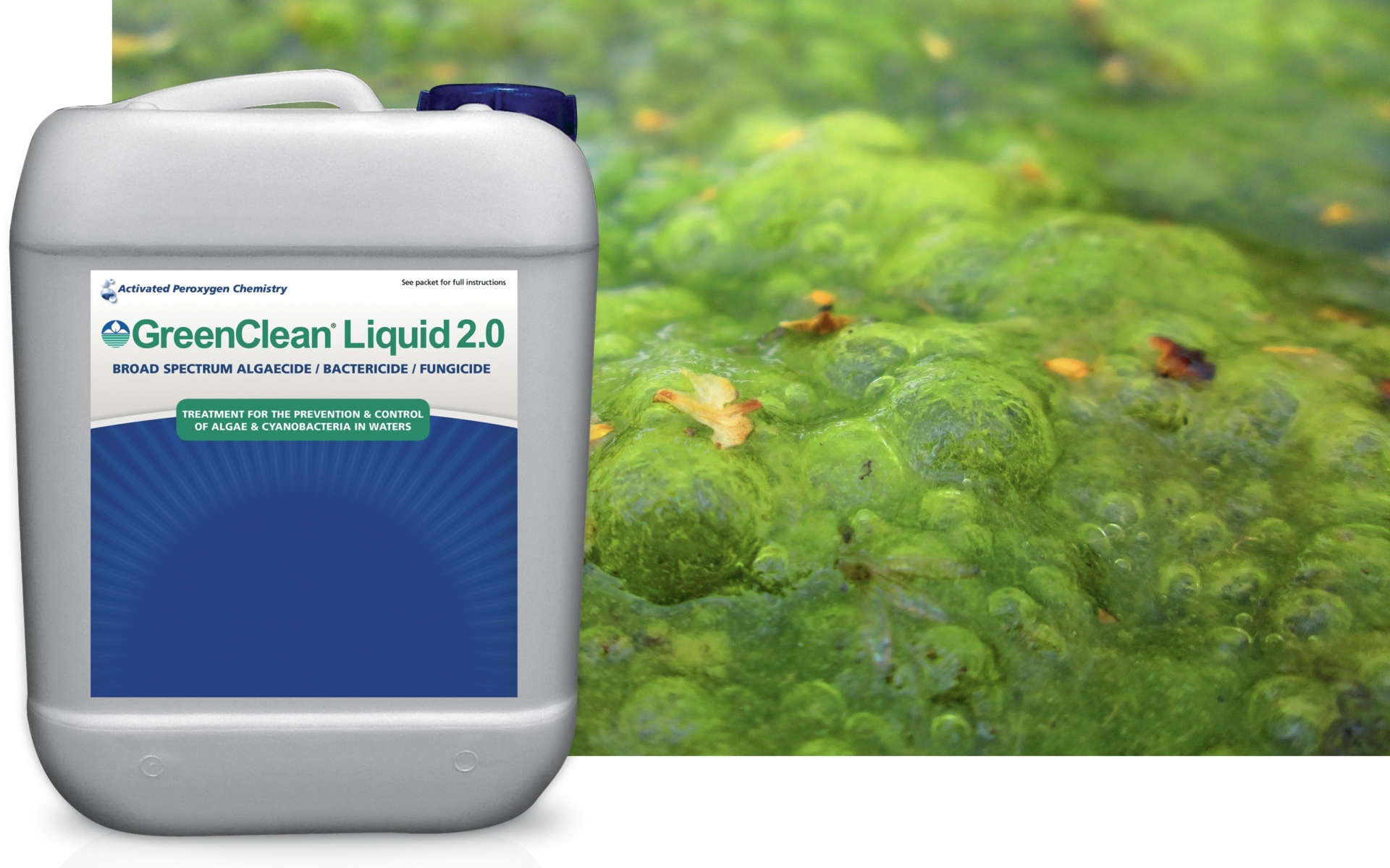 Algaecides BioSafe Systems