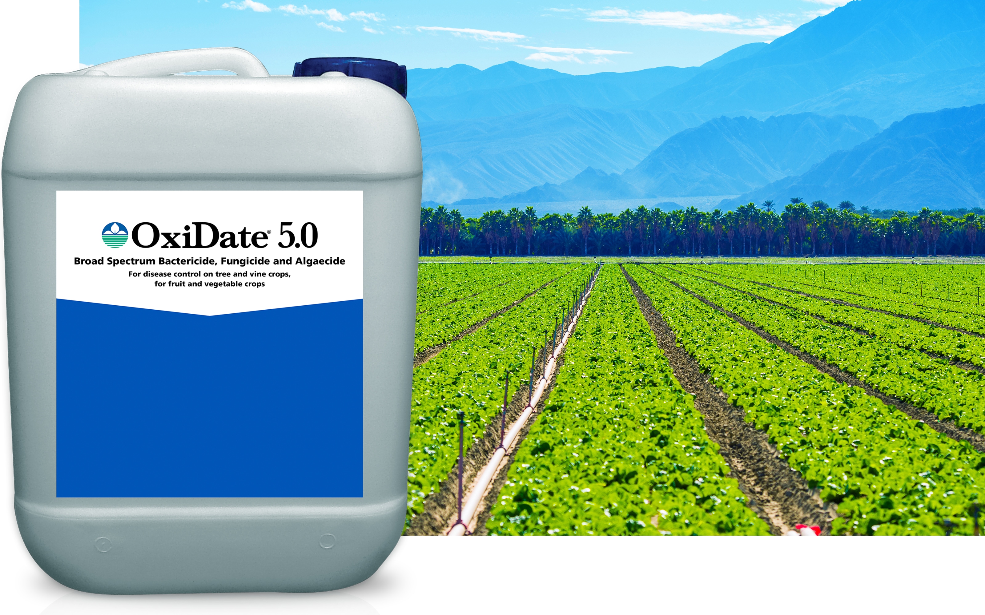 OxiDate® 5.0 product shot