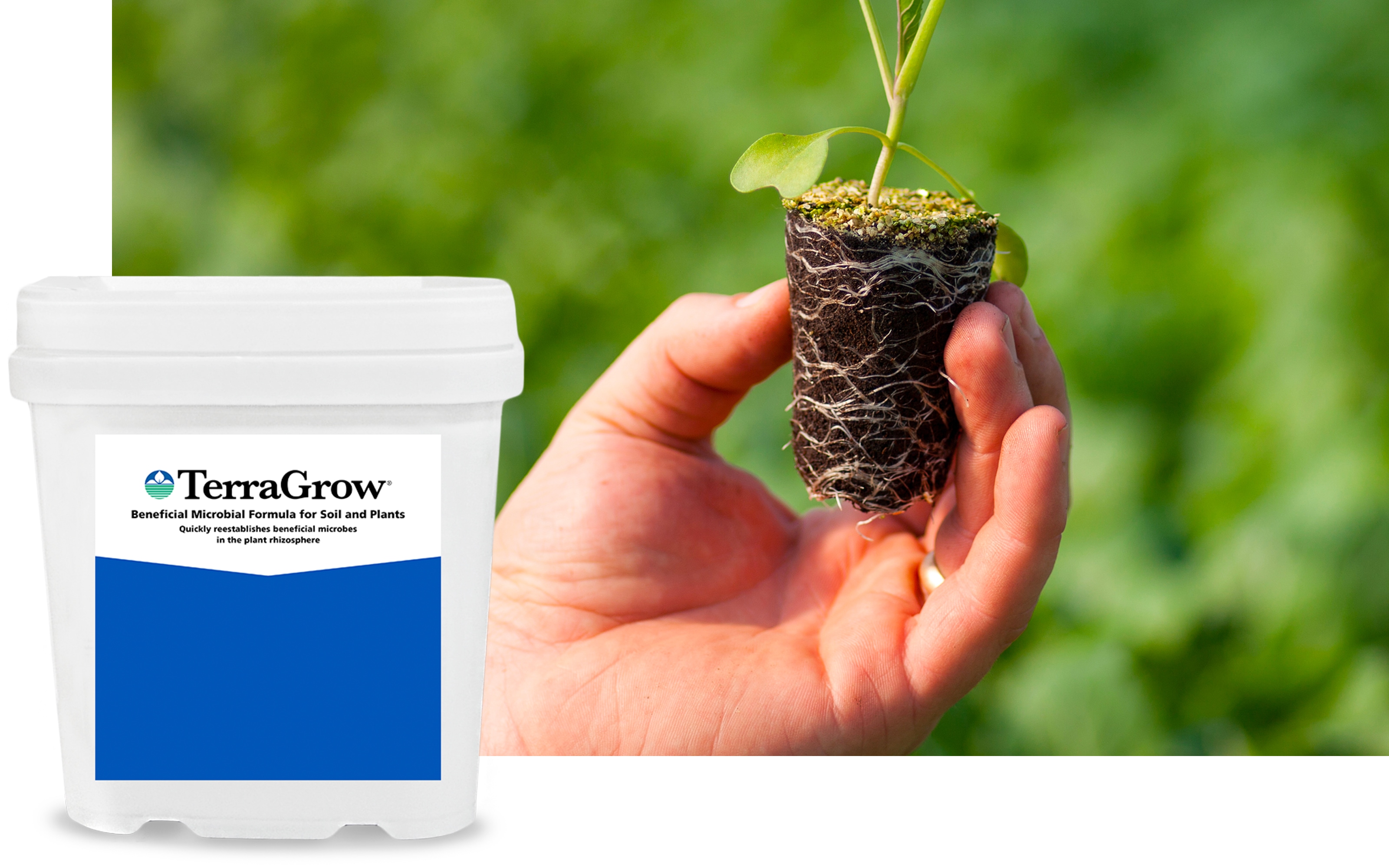TerraGrow® product shot