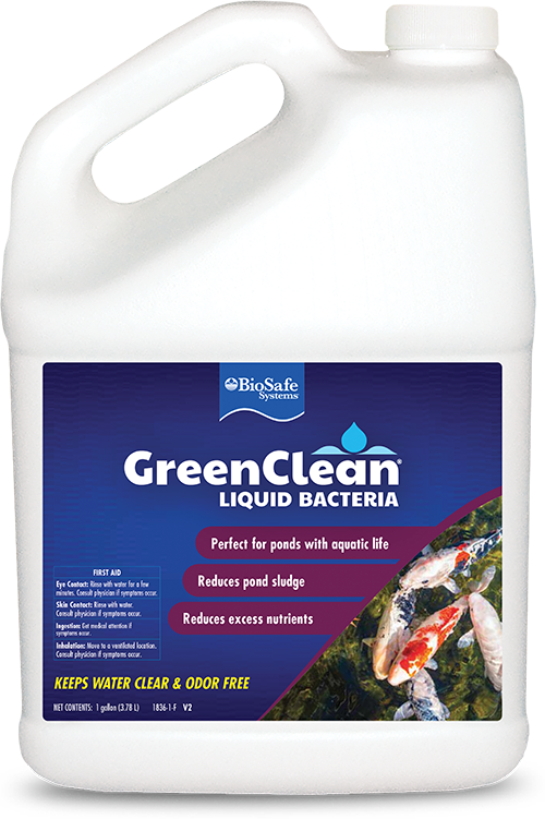 GreenClean Liquid Bacteria 1-gallon