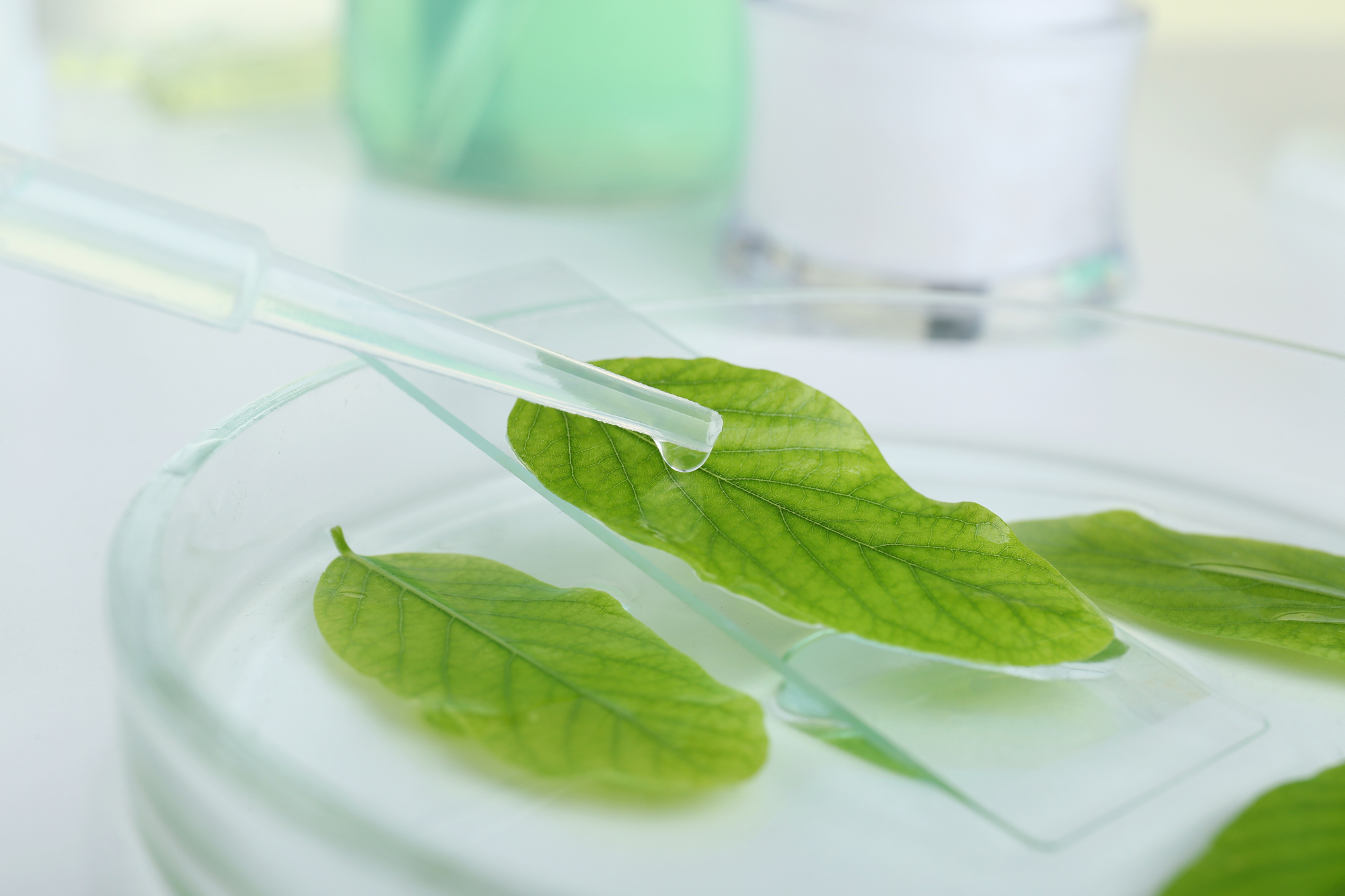 BioSafe Systems’ Company Story – BioSafe Systems