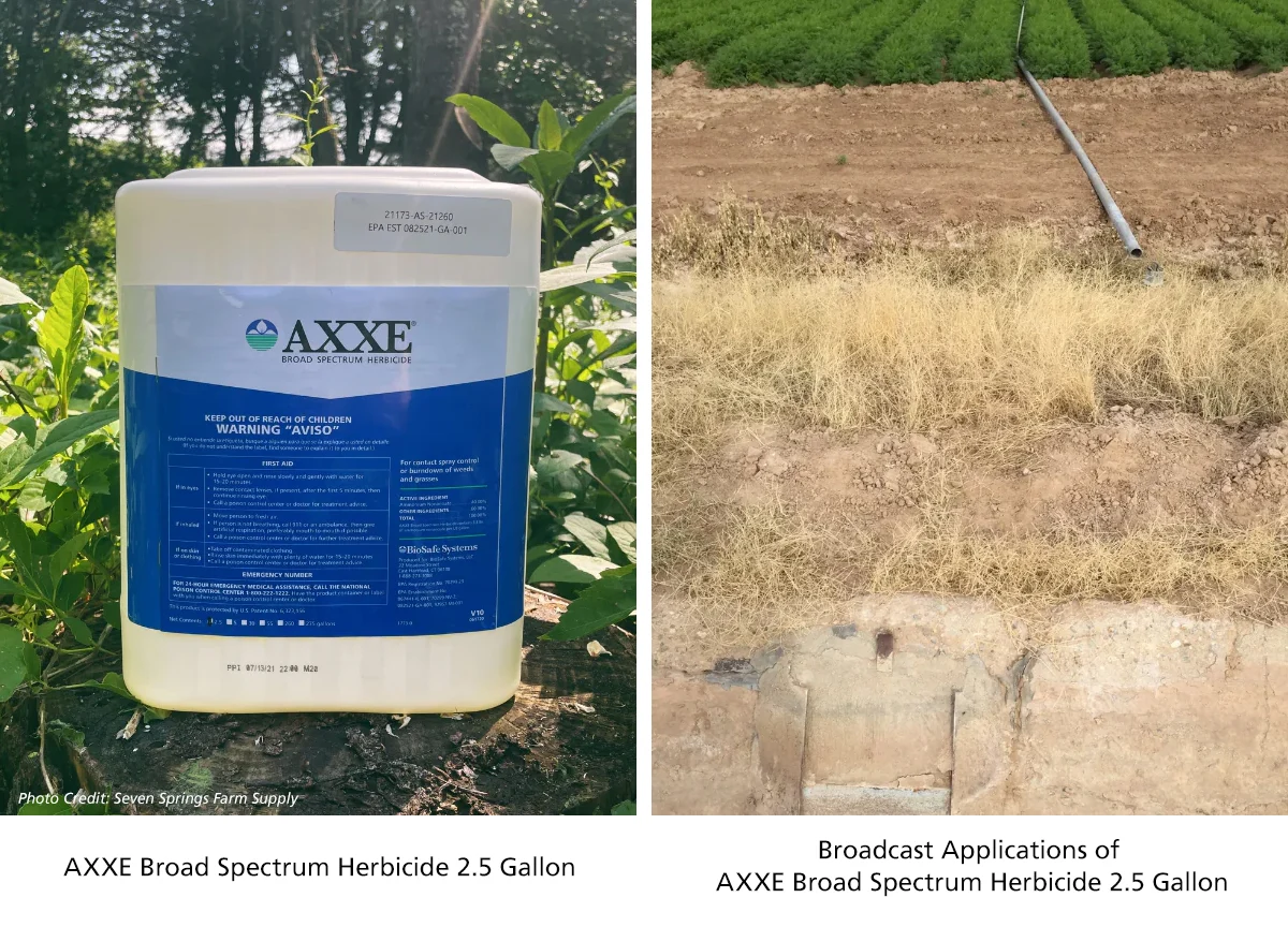 AXXE product