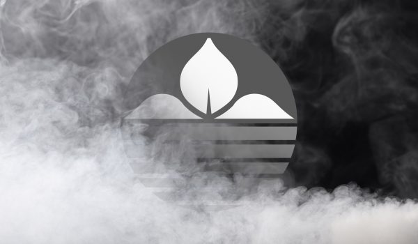 BioSafe bug logo with fog surrounding it