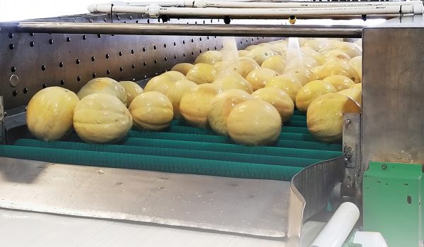 A picture of The Smart Spray Bar working to sanitize melons